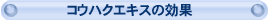 �R�E�n�N�G�L�X�̌���