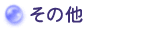 ���̑�